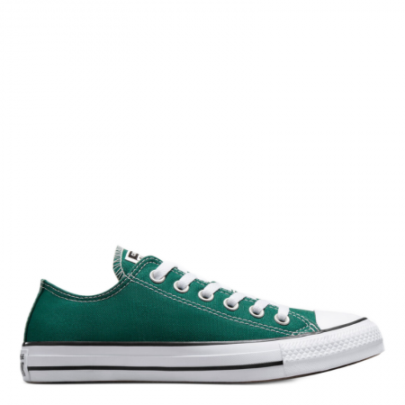 Chuck Taylor All Star Seasonal Color-Dragon Scale
