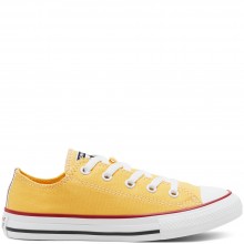 CONVERSE SEASONAL COLOR CHUCK TAYLOR ALL STAR LOW TOP VOOR KIDS