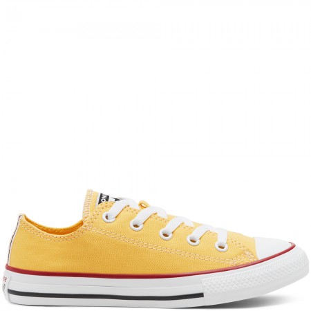 CONVERSE SEASONAL COLOR CHUCK TAYLOR ALL STAR LOW TOP VOOR KIDS