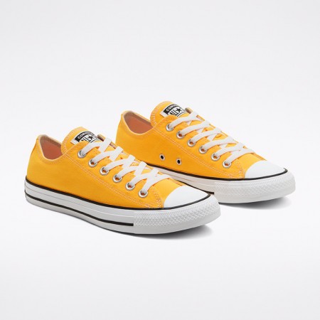 SEASONAL COLOUR CHUCK TAYLOR ALL STAR LOW TOP