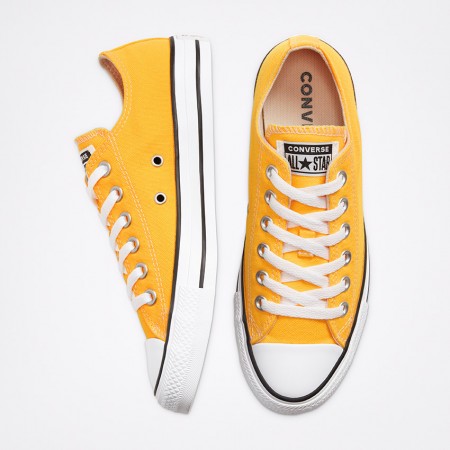 SEASONAL COLOUR CHUCK TAYLOR ALL STAR LOW TOP