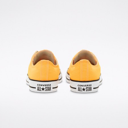 SEASONAL COLOUR CHUCK TAYLOR ALL STAR LOW TOP