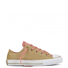 Converse Chuck Taylor All Star Ox Kids
